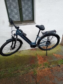 Maxbike Frida - 2