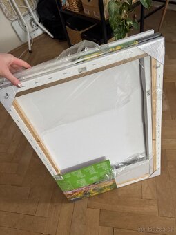 Malířské plátno canvas - 2