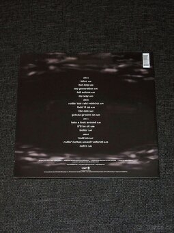 2LP Limp Bizkit - Chocolate Starfish And The Hot Dog... - 2