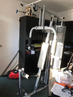 Posilovací věž Alex Pro Gym - 2