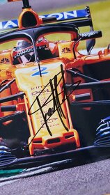 Stoffel Vandoorn F1 McLaren foto 20x30 originální autogram - 2