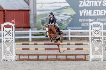 pony A - Vanilka - sen každé princezny - 2
