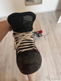 Bauer brusle pro - 2