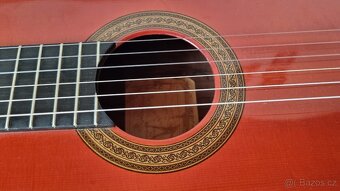 Mistrovská kytara Hugo Schneider - 2