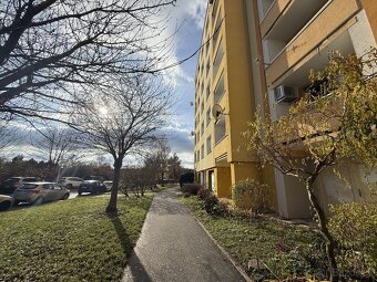 Pronájem bytu 1+1 41 m², Bystrc - 2