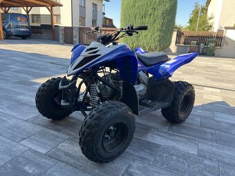 Yamaha YFM 90 Raptor - 2