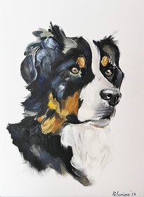 Obraz olejomalba na plátně český horský pes, 30x40 cm - 2