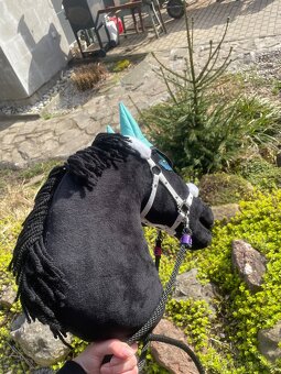 Hobby horse - 2