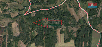 Prodej lesa, 7736 m², Jetětice - 2