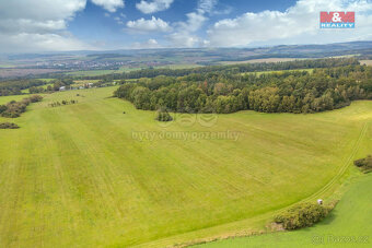 Prodej louky, 14061 m², Spálené Poříčí - 2