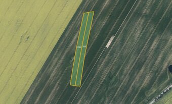 Zemědělská půda, prodej, Nové Vyklantice, Vyklantice, Pelhři - 2