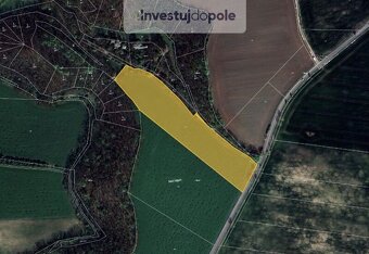 Prodej pole v k.ú. Holubice v Čechách a Kozinec - 2