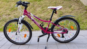 Dívčí kolo SUPERIOR XC24 PAINT violet/pink/white - 2