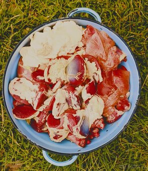 Domácí vykuchaná kachna - 2