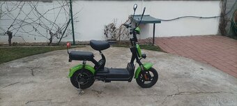 Sharks Eroute RS01 - 2