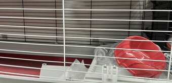 Klec na morče,  králíka,  velká - 2