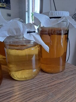 Kombucha - 2