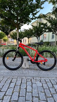 Kolo Rockrider ST 100🔥 Ram L 🧍♂️🧍♀️Kola 27.5🛞 - 2