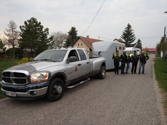 Přeprava až 4 koní po EU převoz - 2