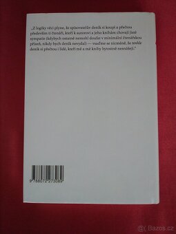 Knížka Další báječný rok, Michal Viewegh - 2