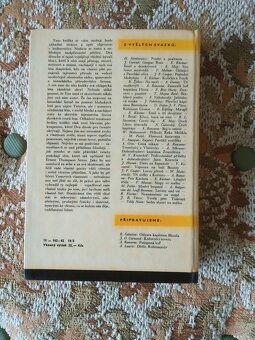 Prodám knihu Dva divoši - 2