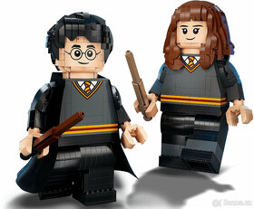 LEGO 76393 Harry Potter™ Harry Potter a Hermiona Grangerová - 2