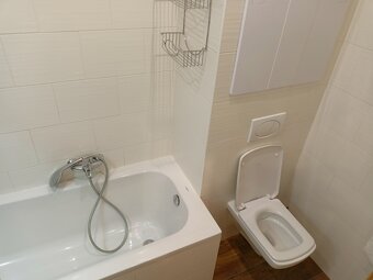 Pronajmu byt 2+1 v centru Frýdlantu nad Ostravicí - 2