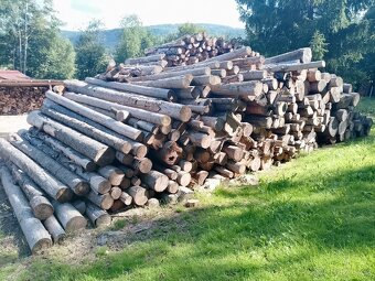 Palivové dřevo Feil - 2