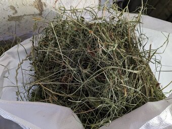 Ručně sušené luční seno - 2
