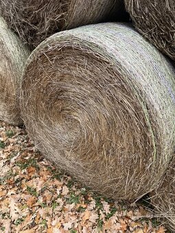 Seno na podestýlku - 2