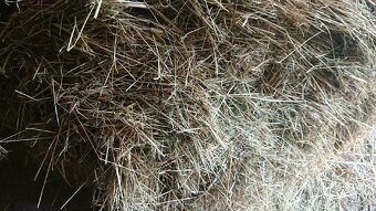 Seno 2025 balík - 2