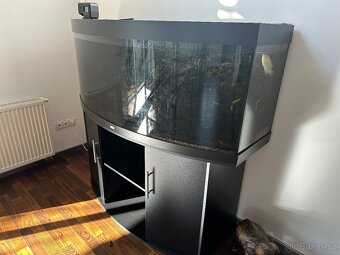 akvárium Juwel Vision 450 litrů - 2