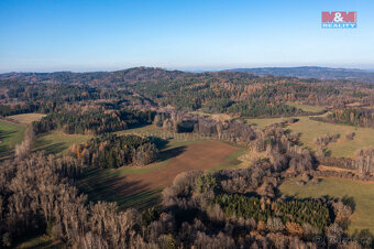 Prodej lesa, 25838 m², Nalžovské Hory - 2