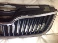 MASKA GRILL ŠKODA RAPID 5JA 5JA853668 CHROM - 2