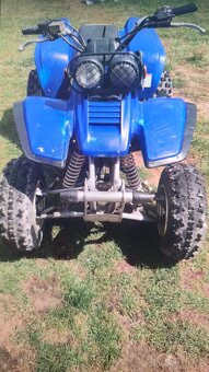 Yamaha Warrior YFM 350 2003 - 2