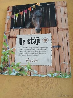 Ve stáji - 2