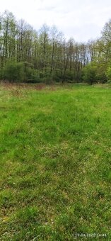 Louka v Kerském lese. - 2