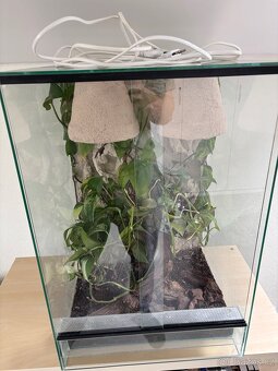 Terarium - 2