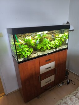 Juwel Rio led 240 - 2