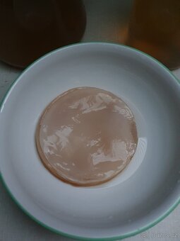 Kombucha - 2