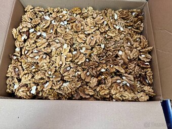 Loupané vlašské ořechy - 2