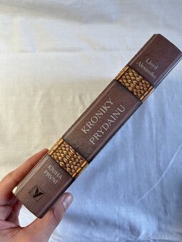 Kroniky Prydainu: Kniha první - Lloyda Alexandera - 2