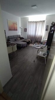 pronájem 2+kk,50m2 na ulici Masarykova v Olomouci - 2