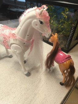 Chodící bílý kůň - 2