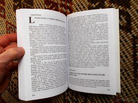 Češi a Němci 150 let po Bolzanovi (rozfocneo 17x) - 2