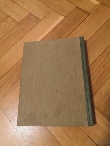 Stefan Gebarski: Tatranský Robinson (1919) - 2