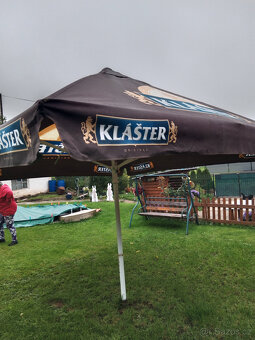 slunečník hospodský - 2