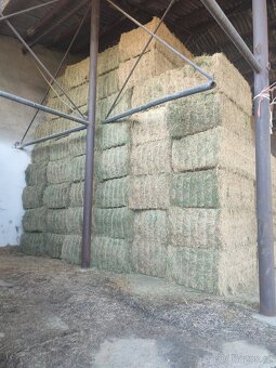 Vojtěška / Vojtěškové seno - 2