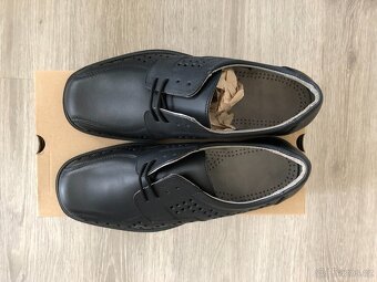 Polobotky letní. - 2