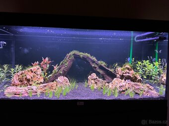 Akvarijní set Aguantlantis volga 180 - 2